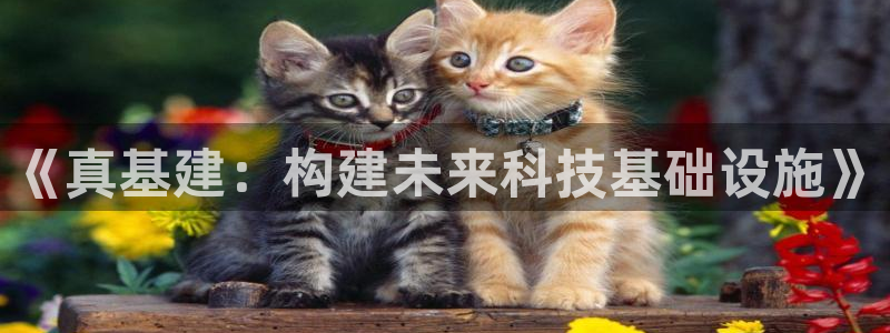 岳阳众腾ktv娱乐